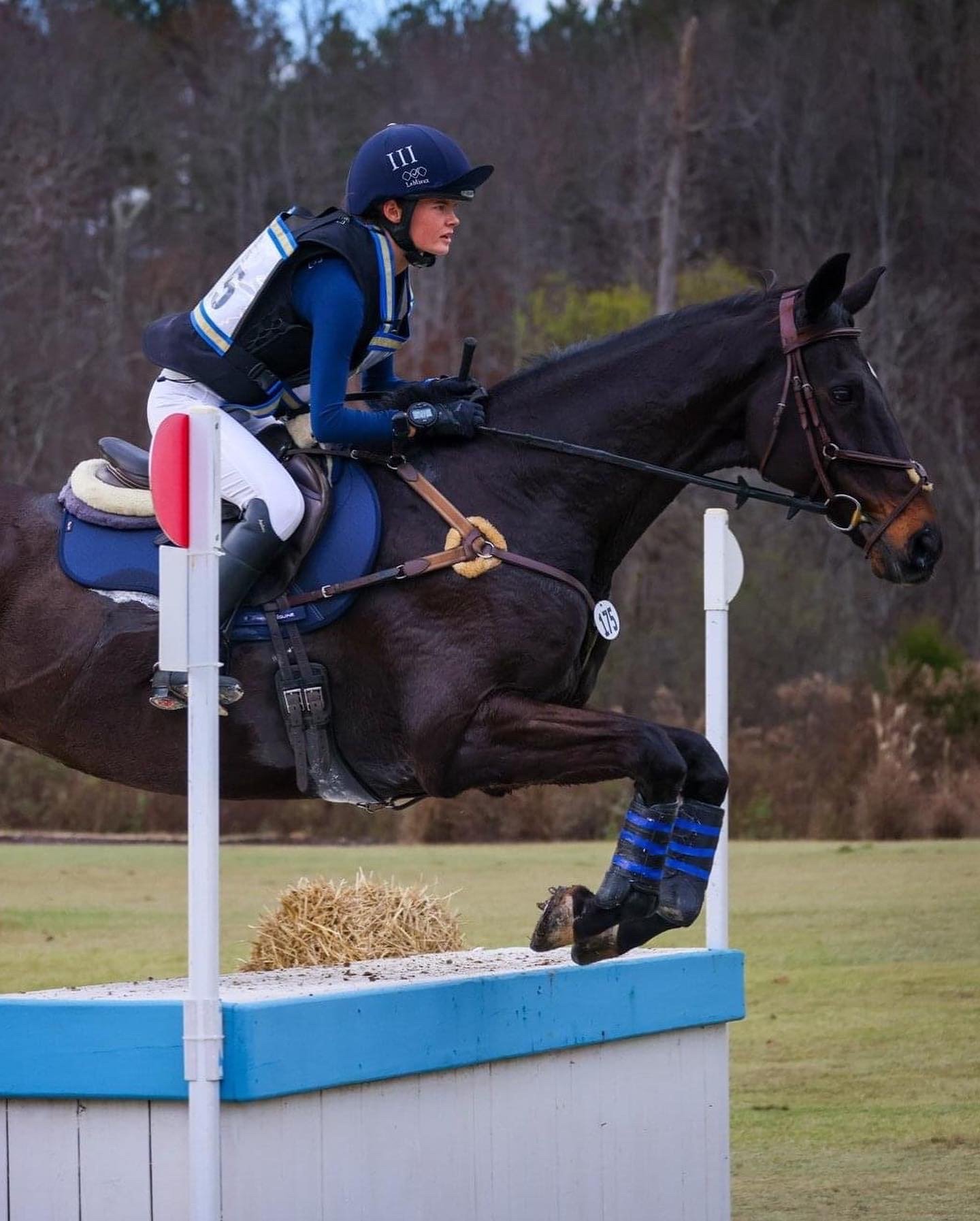 Dressage celebration fist pump