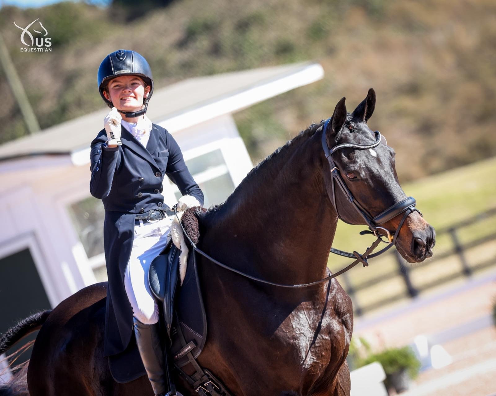 Cross country galloping foggy