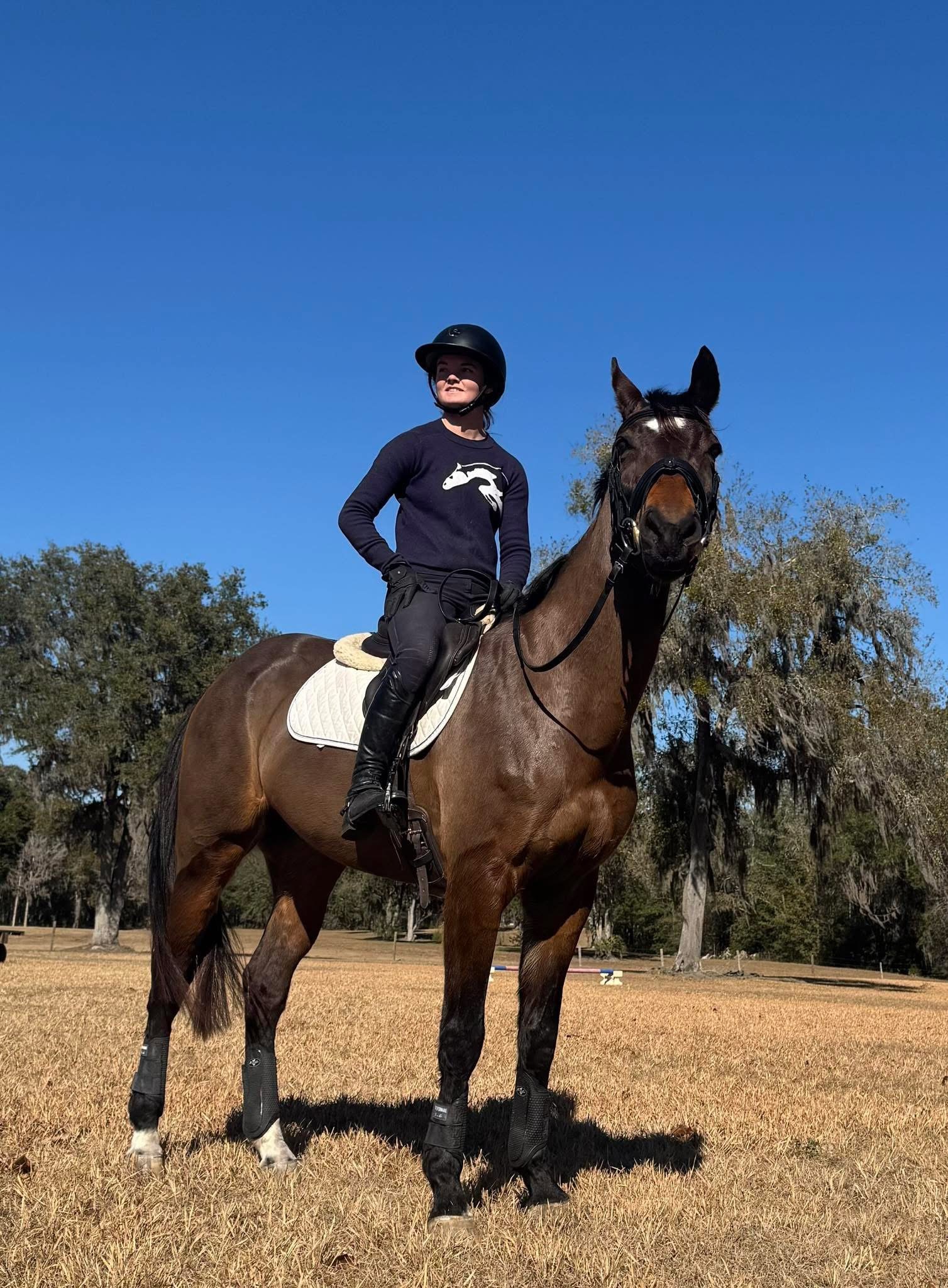 FE Glamour KWPN mare