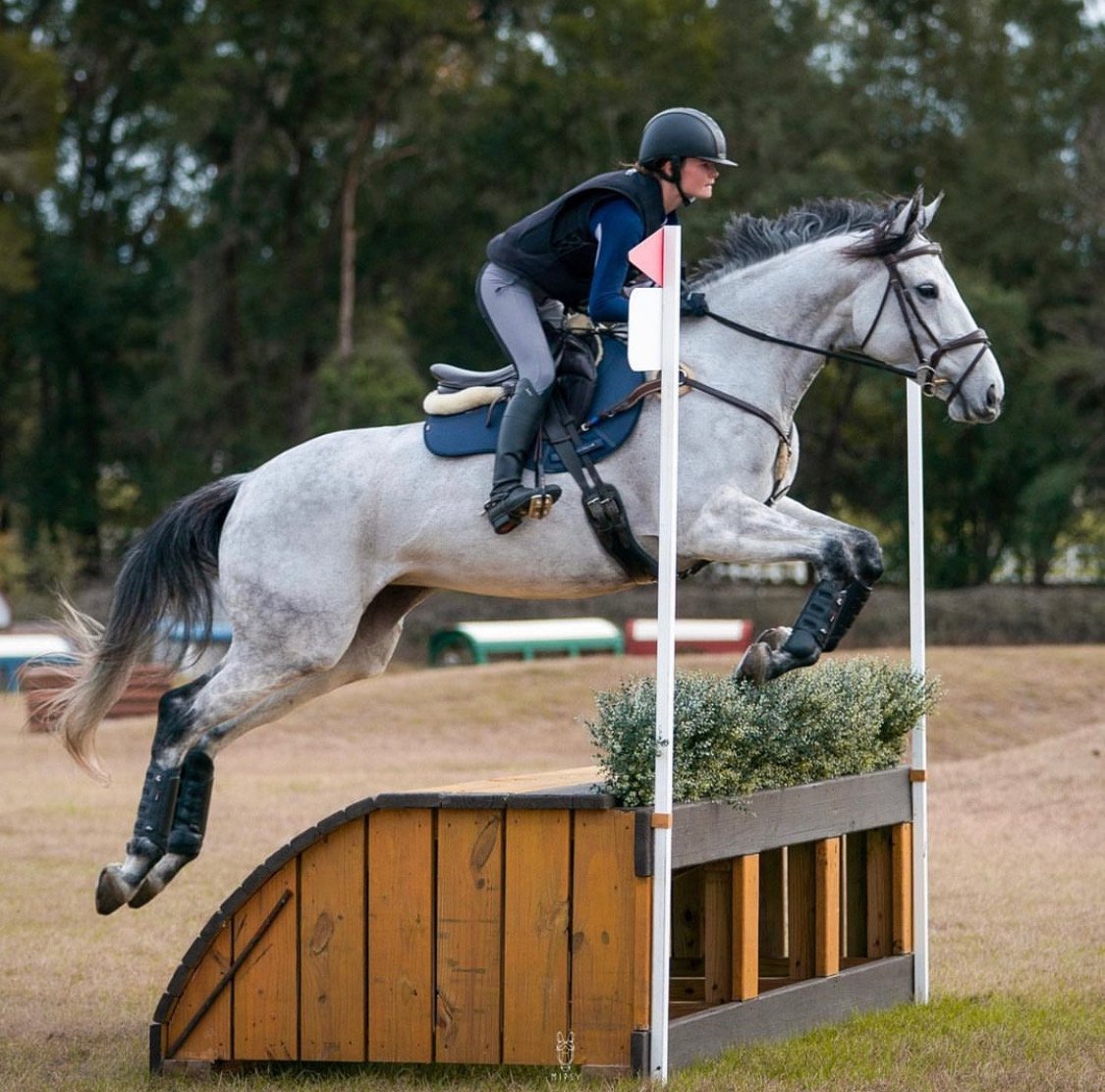 Cross country ramp jump grey horse