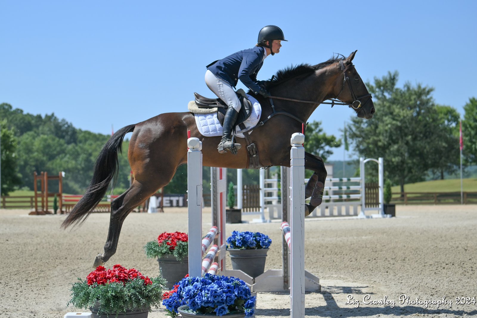 Breeana Robinette galloping cross country