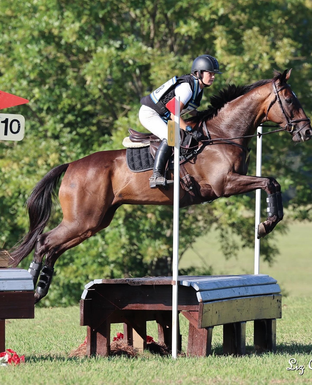 Cross country water jump