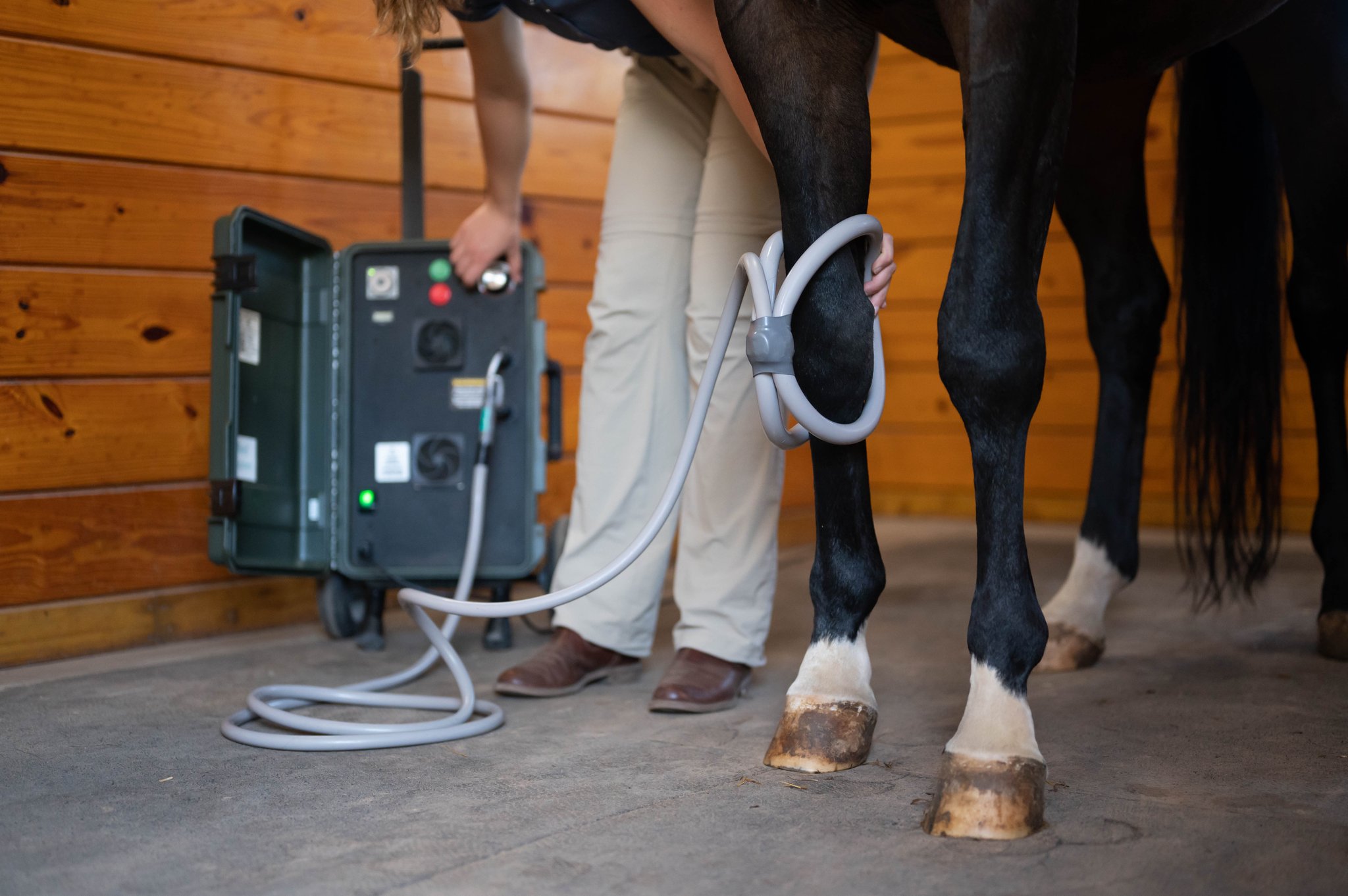 MagnaWave PEMF equine therapy
